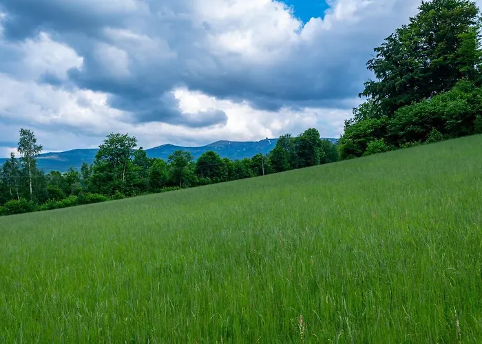 Appartement Vintage *