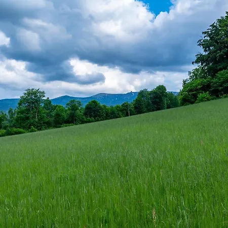 Διαμέρισμα Vintage *